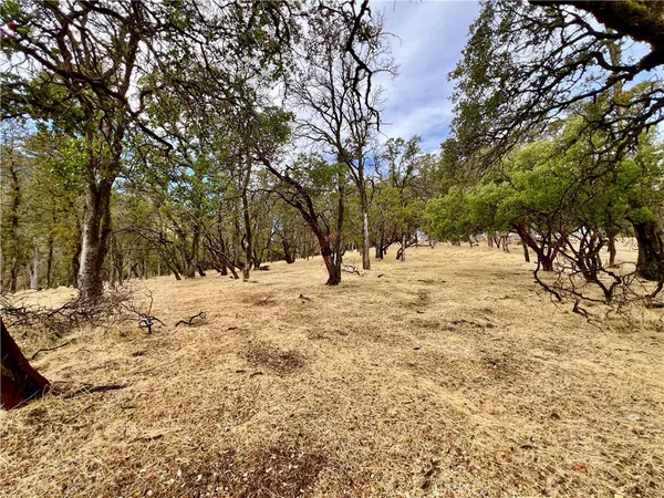 a view of snow on a road
