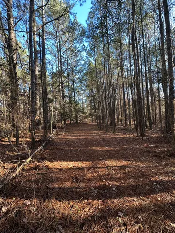 $60,000 | Lot 4 Saggus Road, Washington, GA 30673