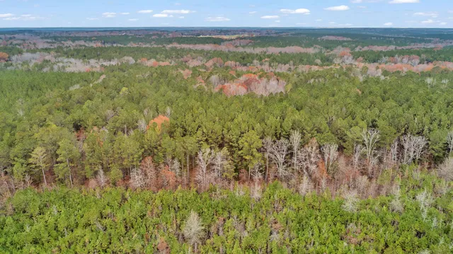 $60,000 | Lot 4 Saggus Road, Washington, GA 30673