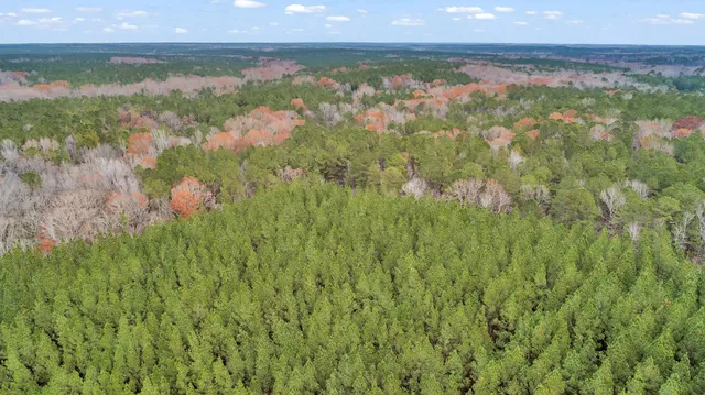 $60,000 | Lot 4 Saggus Road, Washington, GA 30673