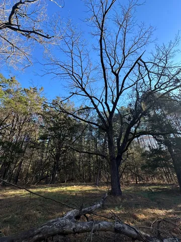 $60,000 | Lot 4 Saggus Road, Washington, GA 30673