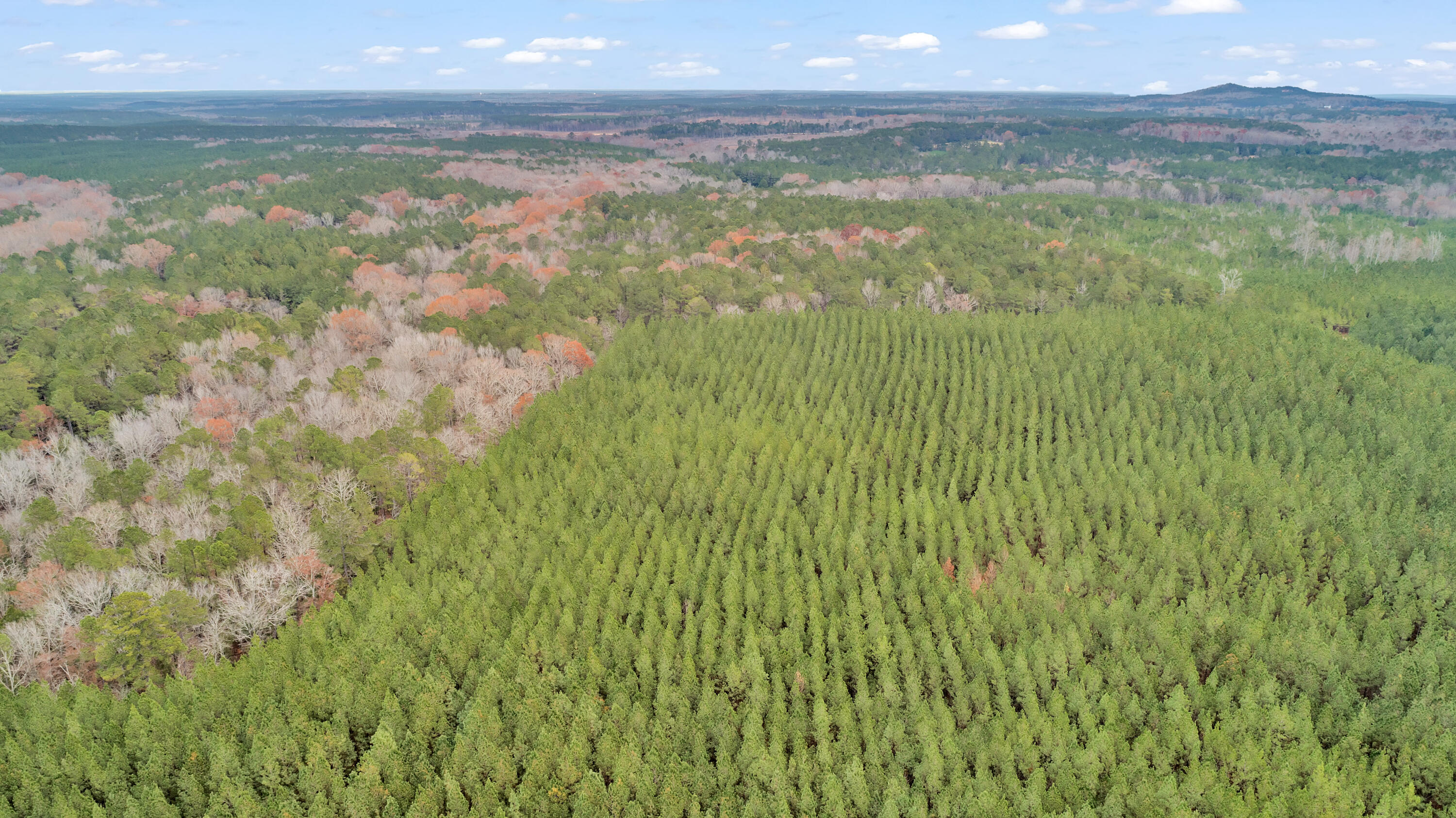 Lot 4 Saggus Road Washington, GA 30673 - Photo 22 of 39 Saggus Rd land 121-007A, 400ft View, Dro