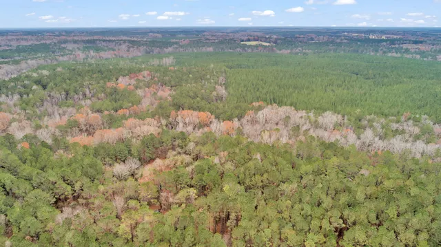 $60,000 | Lot 4 Saggus Road, Washington, GA 30673