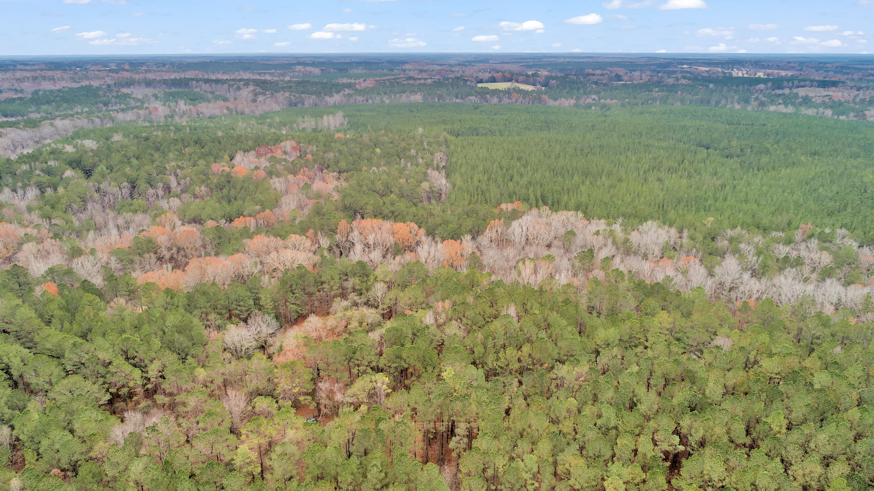Lot 4 Saggus Road Washington, GA 30673 - Photo 25 of 39 Saggus Rd land 121-007A, 400ft View, Dro