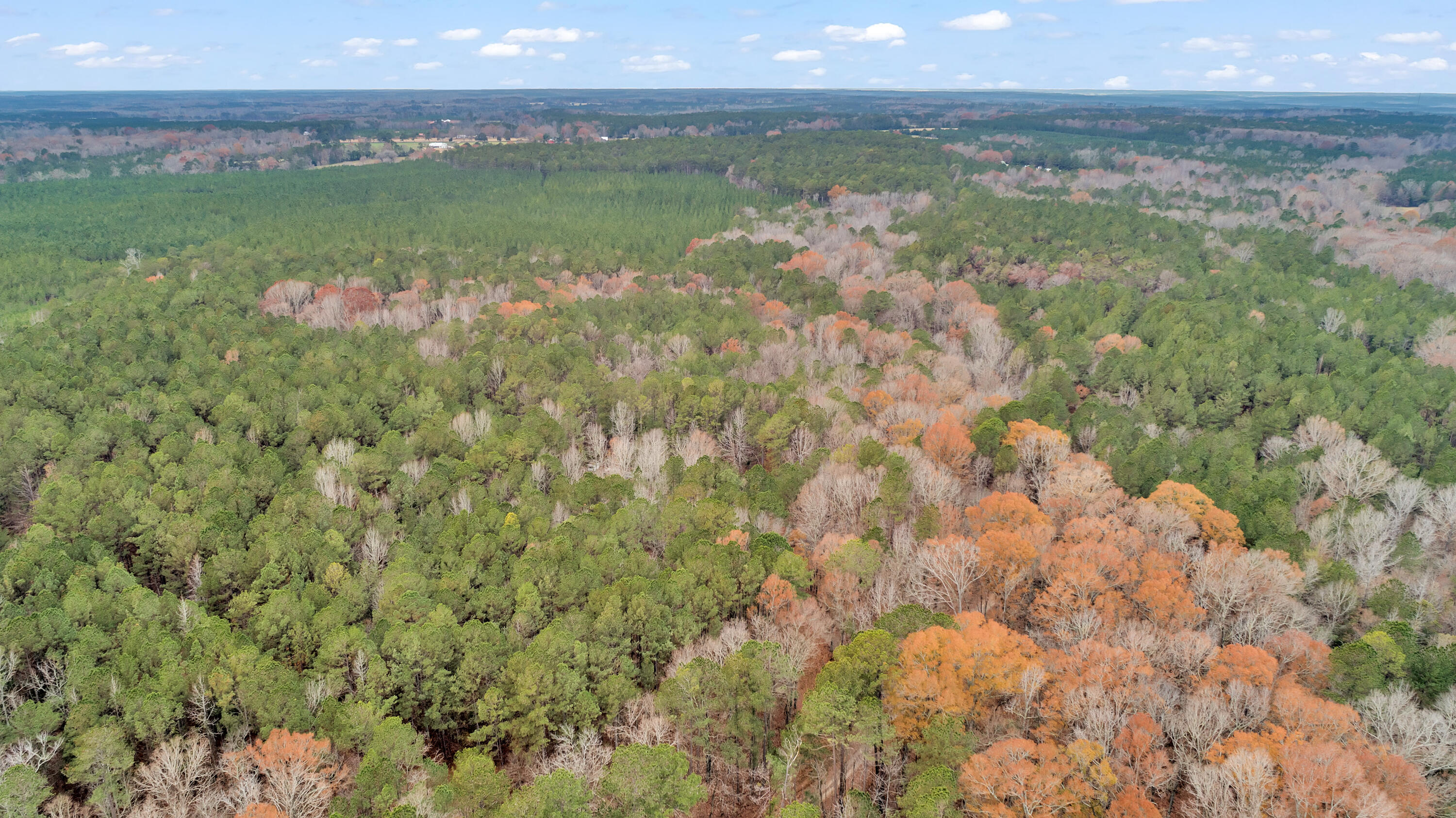 Lot 4 Saggus Road Washington, GA 30673 - Photo 27 of 39 Saggus Rd land 121-007A, 400ft View, Dro