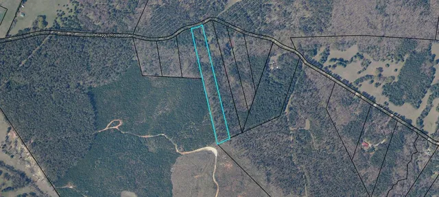 $60,000 | Lot 4 Saggus Road, Washington, GA 30673
