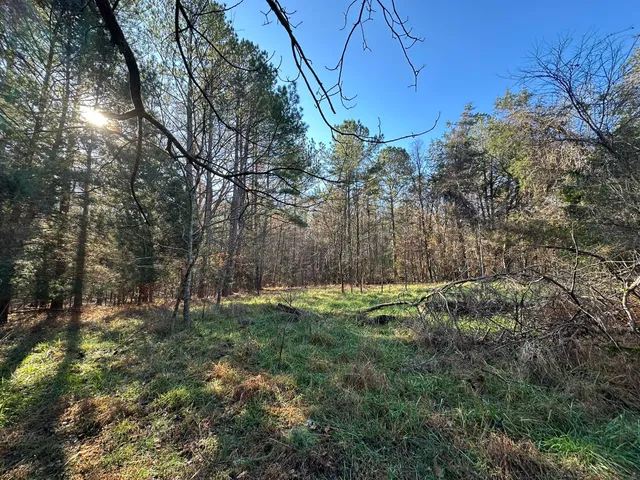 $60,000 | Lot 4 Saggus Road, Washington, GA 30673