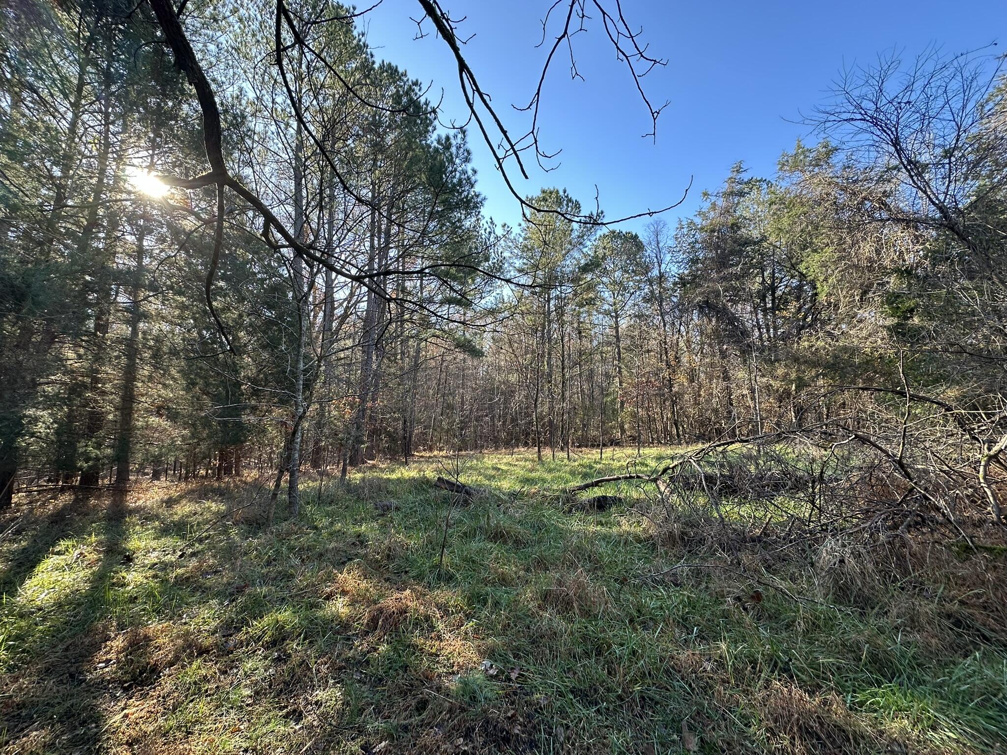 Lot 4 Saggus Road Washington, GA 30673 - Photo 3 of 39 IMG_9410