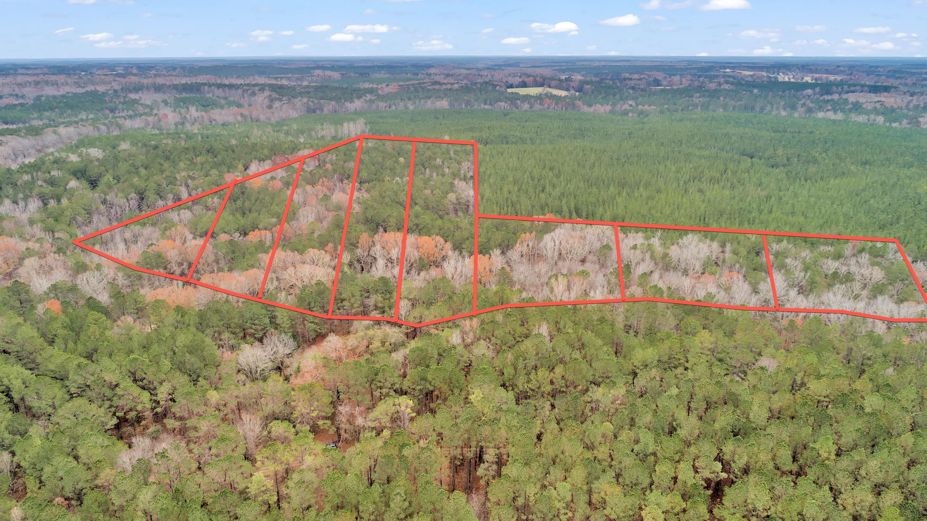 Lot 4 Saggus Road Washington, GA 30673 - Photo 36 of 39 Saggus Rd land 121-007A, 400ft View, Dro