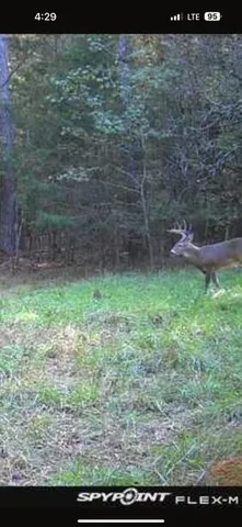 $60,000 | Lot 4 Saggus Road, Washington, GA 30673