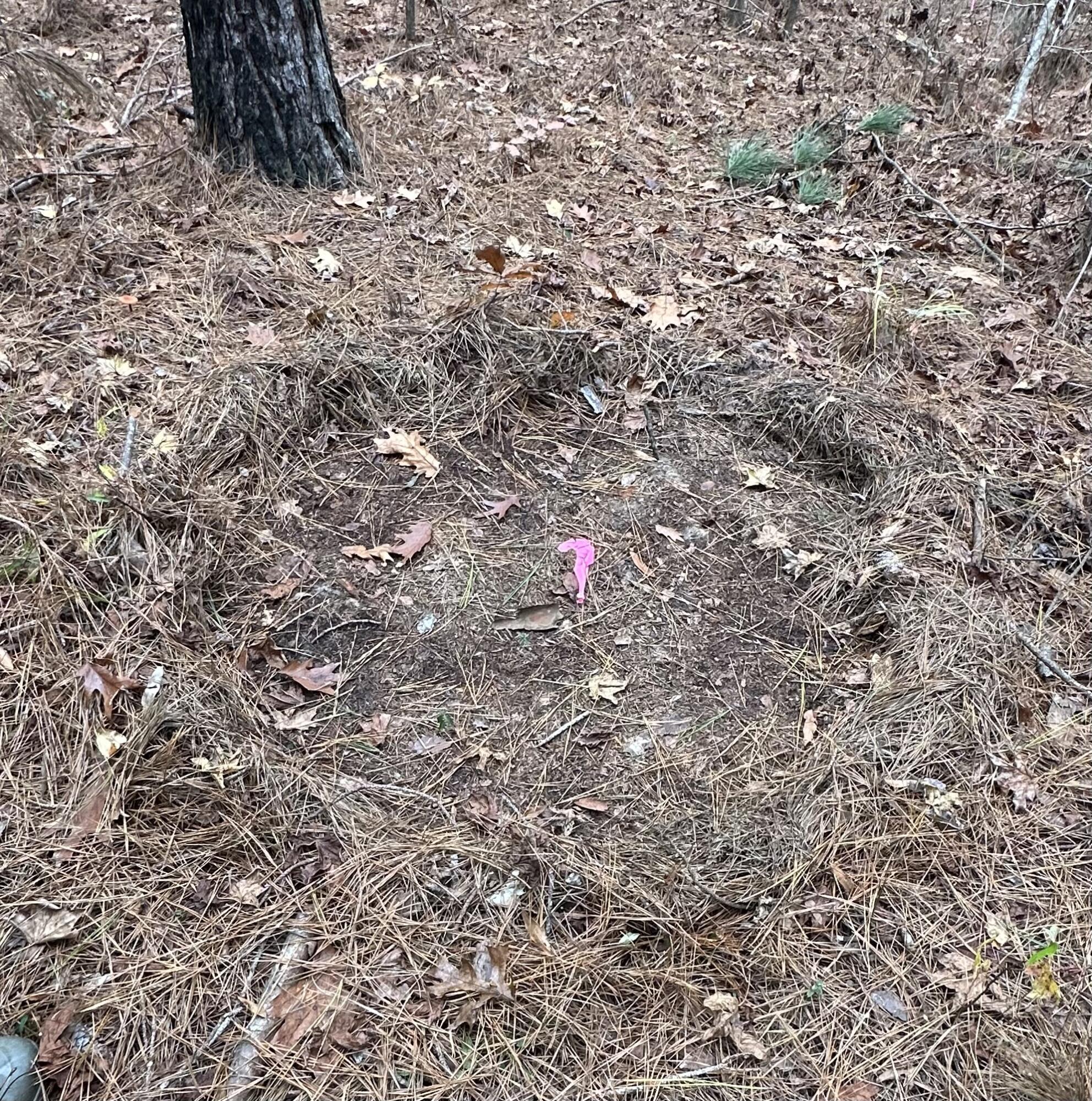 Lot 4 Saggus Road Washington, GA 30673 - Photo 10 of 39 IMG_9365