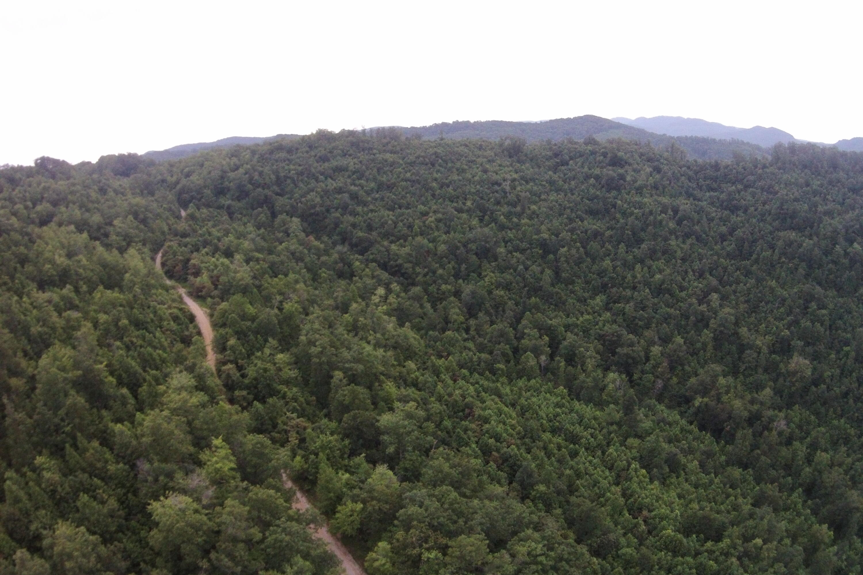 2 Straight Fork Road, Unit TRACT 2 Huntsville, TN 37756 - Photo 4 of 13 Aerial View4
