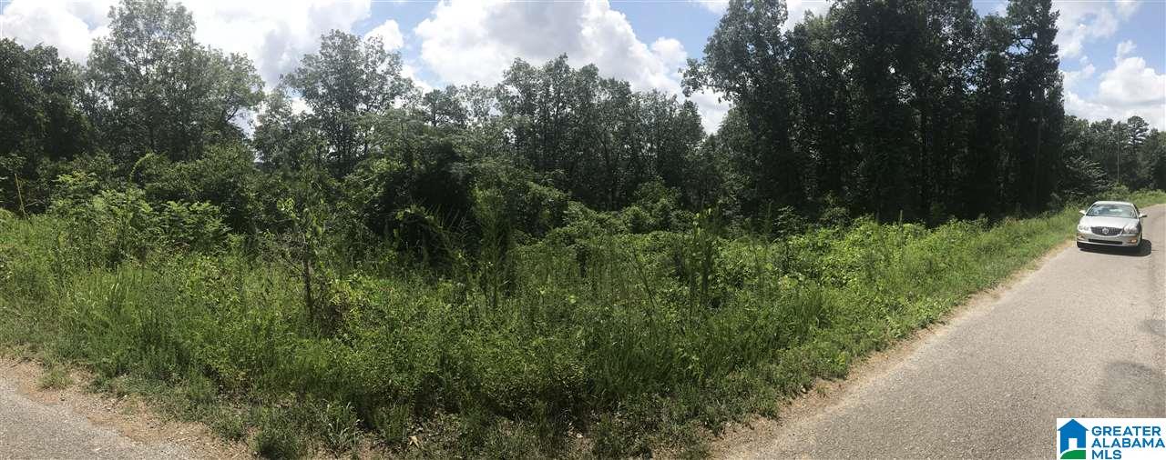 Lot 7 Overlook Road, Unit LOT 7 Blountsville, AL 35031 - Photo 1 of 1