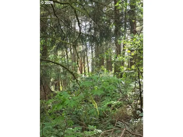 $170,000 | 2403-2410 Birch Street, Cannon Beach, OR 97110