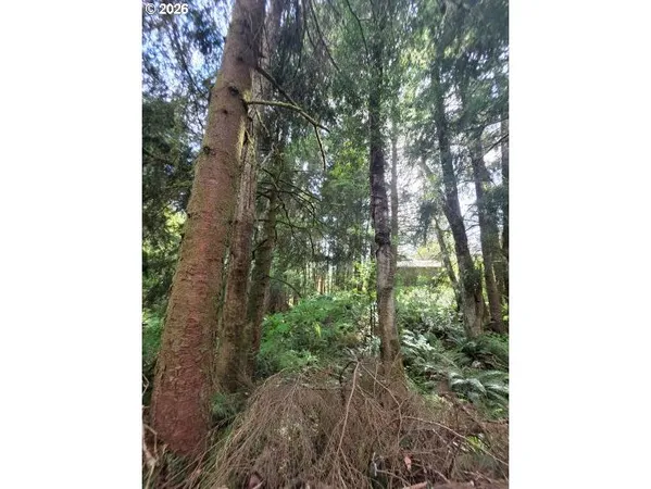 $170,000 | 2403-2410 Birch Street, Cannon Beach, OR 97110