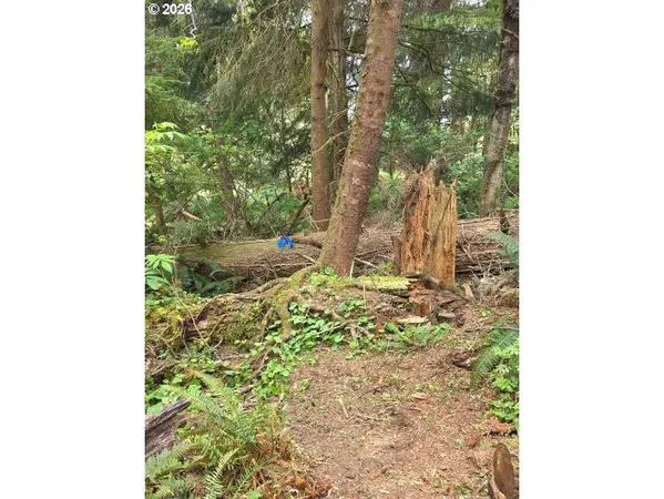 $170,000 | 2403-2410 Birch Street, Cannon Beach, OR 97110