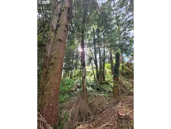 $170,000 | 2403-2410 Birch Street, Cannon Beach, OR 97110