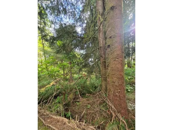 $170,000 | 2403-2410 Birch Street, Cannon Beach, OR 97110