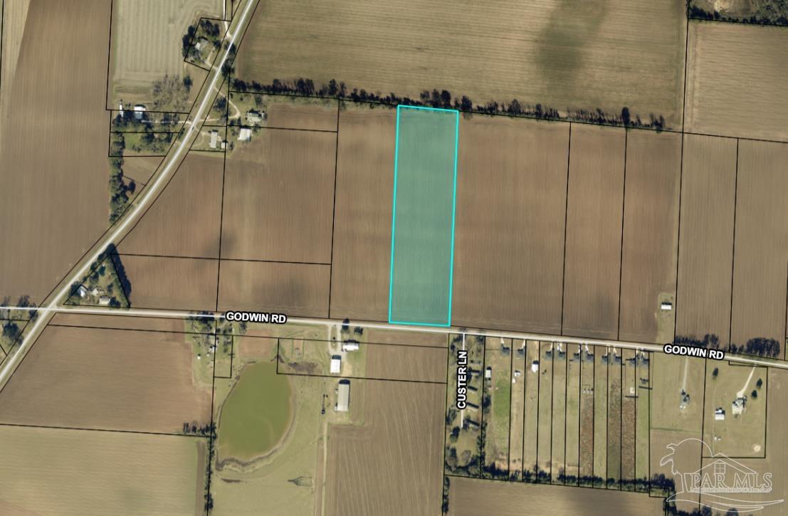 0 Godwin Road Jay, FL 32565 - Photo 3 of 13