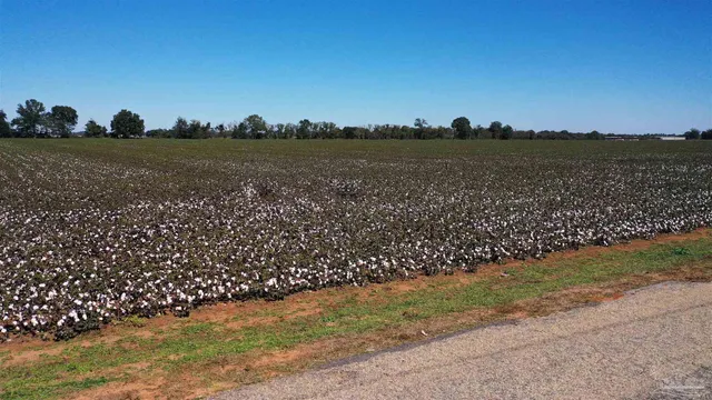 a view of lake and city