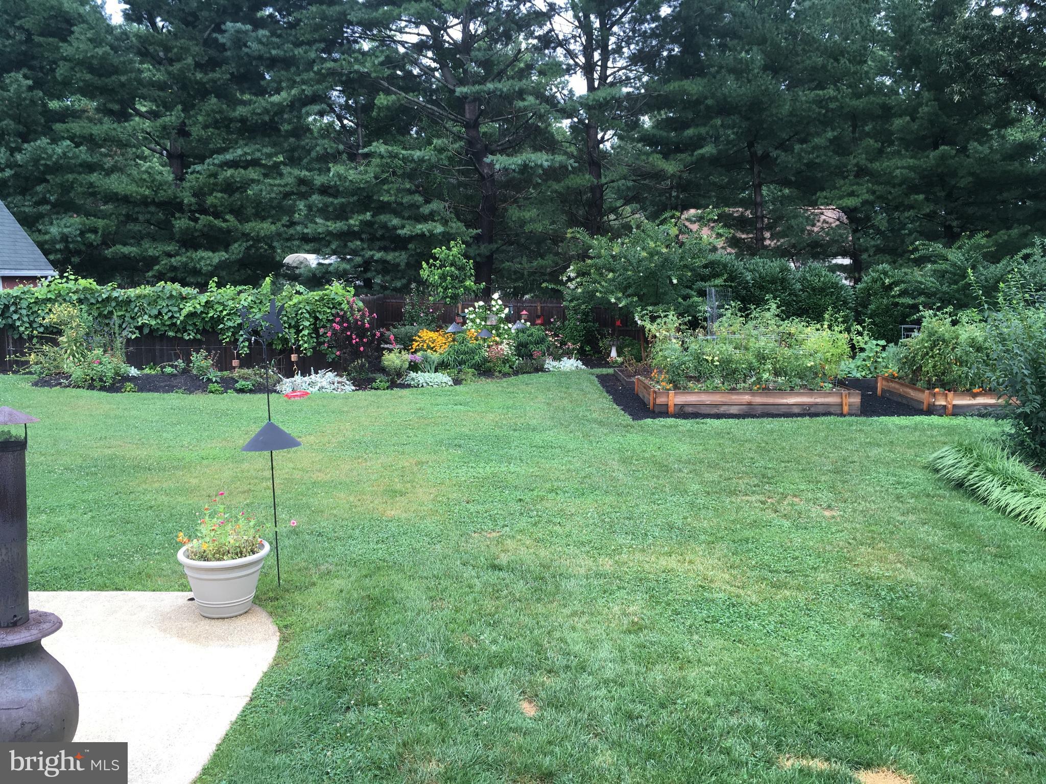 15411 Rowland Lane Silver Spring, MD 20905 - Photo 49 of 53 Gallery Image 49