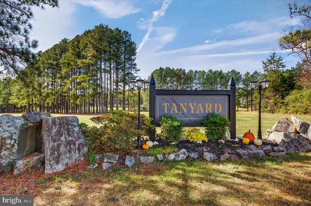 a view of a chairs and table in a backyard