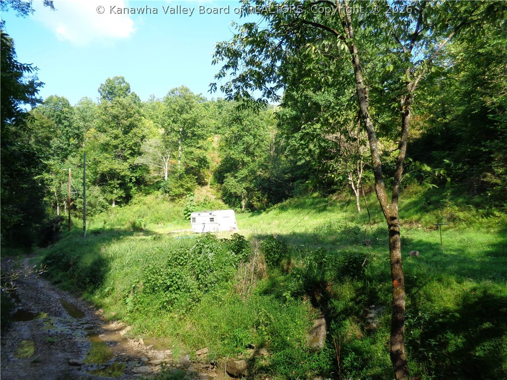 0 Fudge Branch Elkview, WV 25071 - Photo 6 of 8 Gallery Image 6