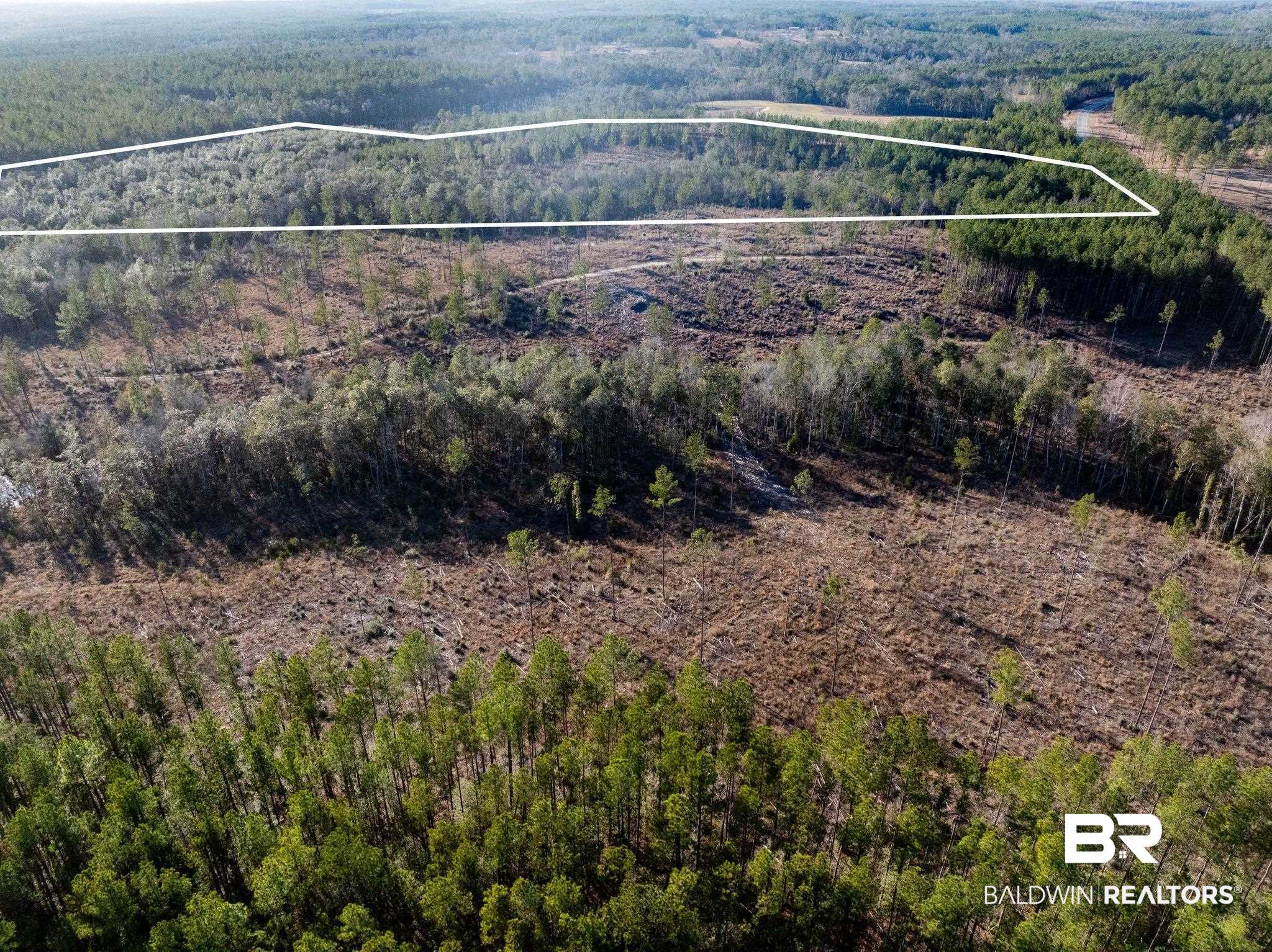 3 Beverly Jeffries Highway Citronelle, AL 36522 - Photo 3 of 4