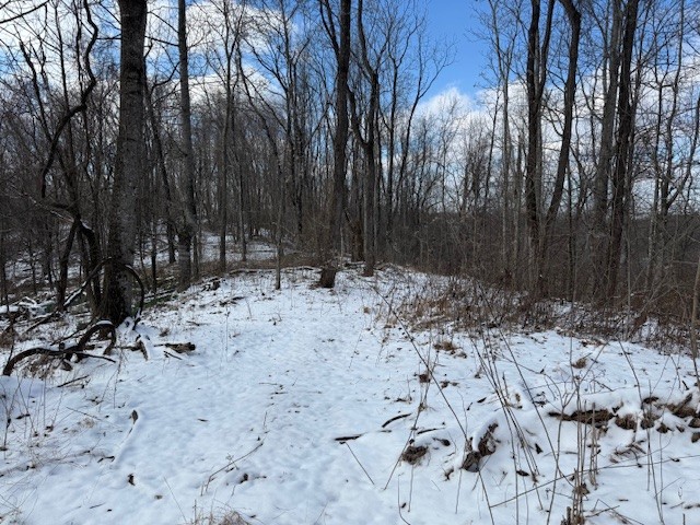 0 Bryant Ridge Road Baxter, TN 38544 - Photo 16 of 20