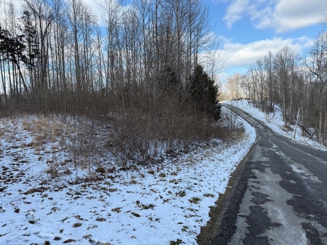 0 Bryant Ridge Road Baxter, TN 38544 - Photo 20 of 20