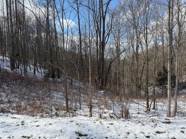 0 Bryant Ridge Road Baxter, TN 38544 - Photo 2 of 20