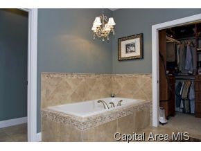 319 Harbor Point Place Springfield, IL 62712 - Photo 11 of 21 Gallery Image 11