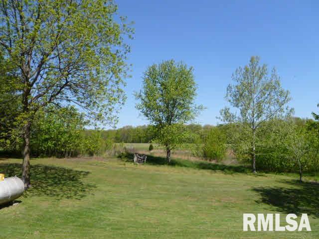 8665 State Rte 161 Extension Iuka, IL 62849 - Photo 14 of 18
