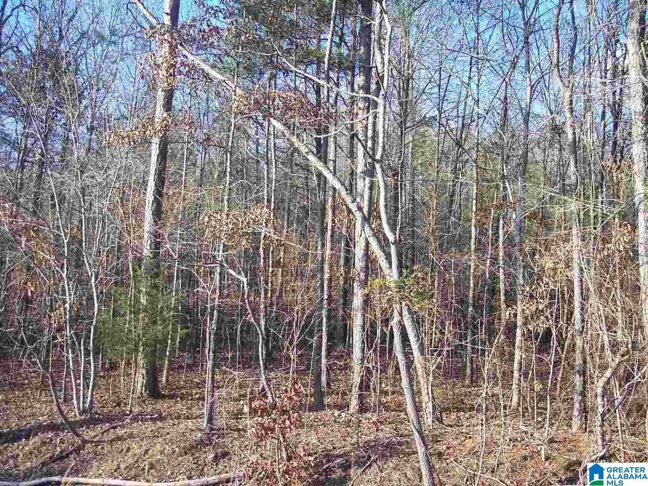 4 Dripping Rock Road, Unit 4 Piedmont, AL 36272 - Photo 4 of 12