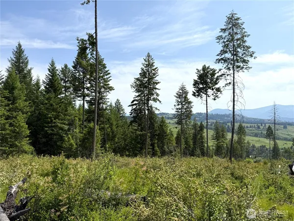 a view of a garden