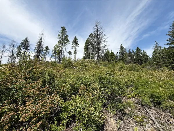 a view of a large yard with lots of green space