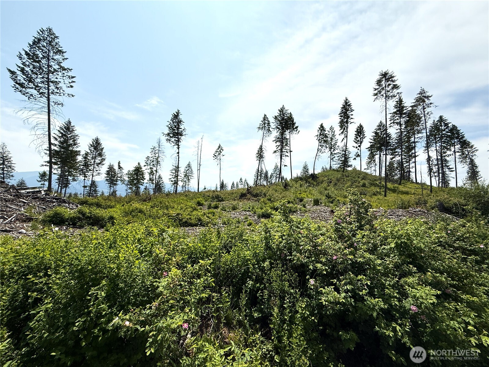 3 Rockabye Lane Curlew, WA 99118 - Photo 4 of 8 a view of a field