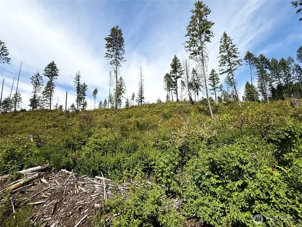 a view of a garden with a building