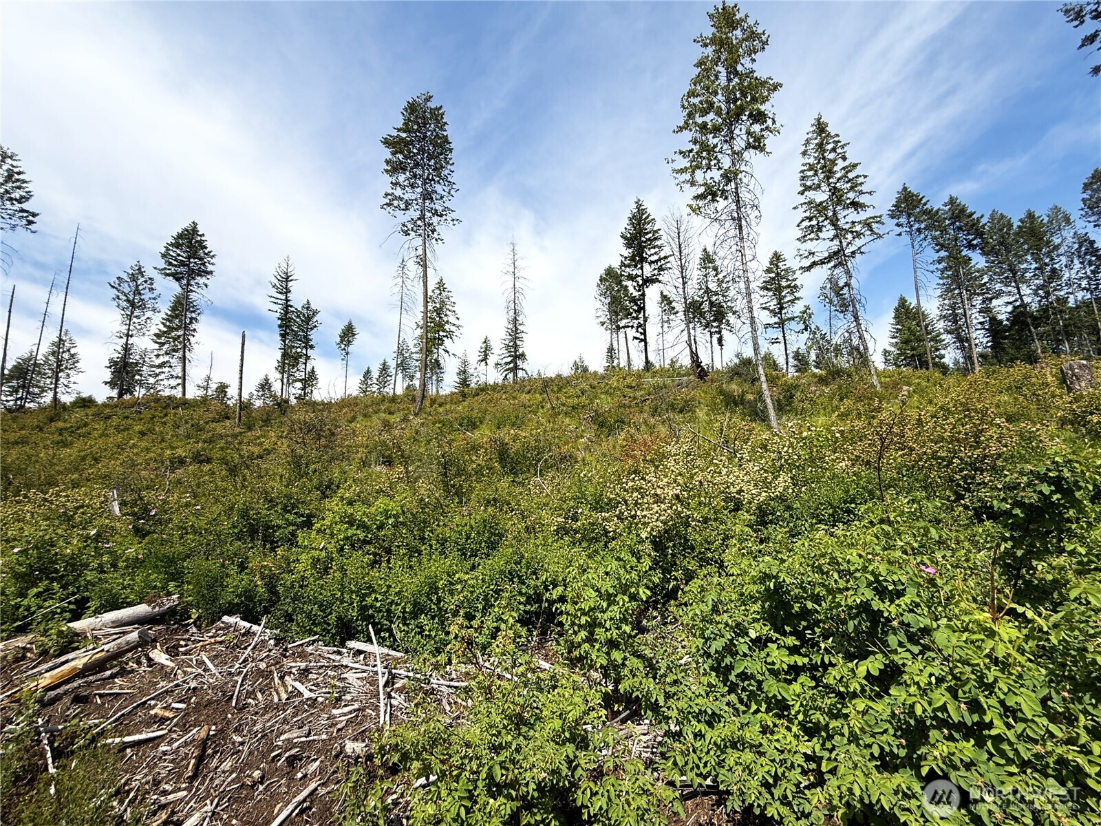 3 Rockabye Lane Curlew, WA 99118 - Photo 5 of 8 a view of a garden with a building