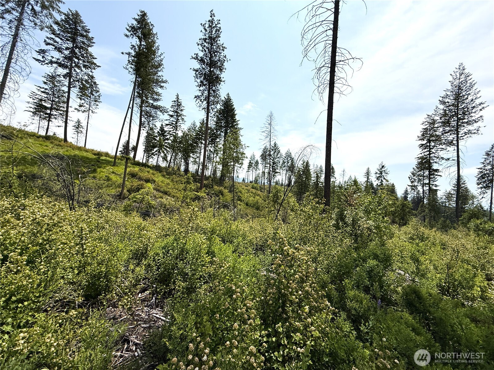 3 Rockabye Lane Curlew, WA 99118 - Photo 8 of 8 a view of a garden