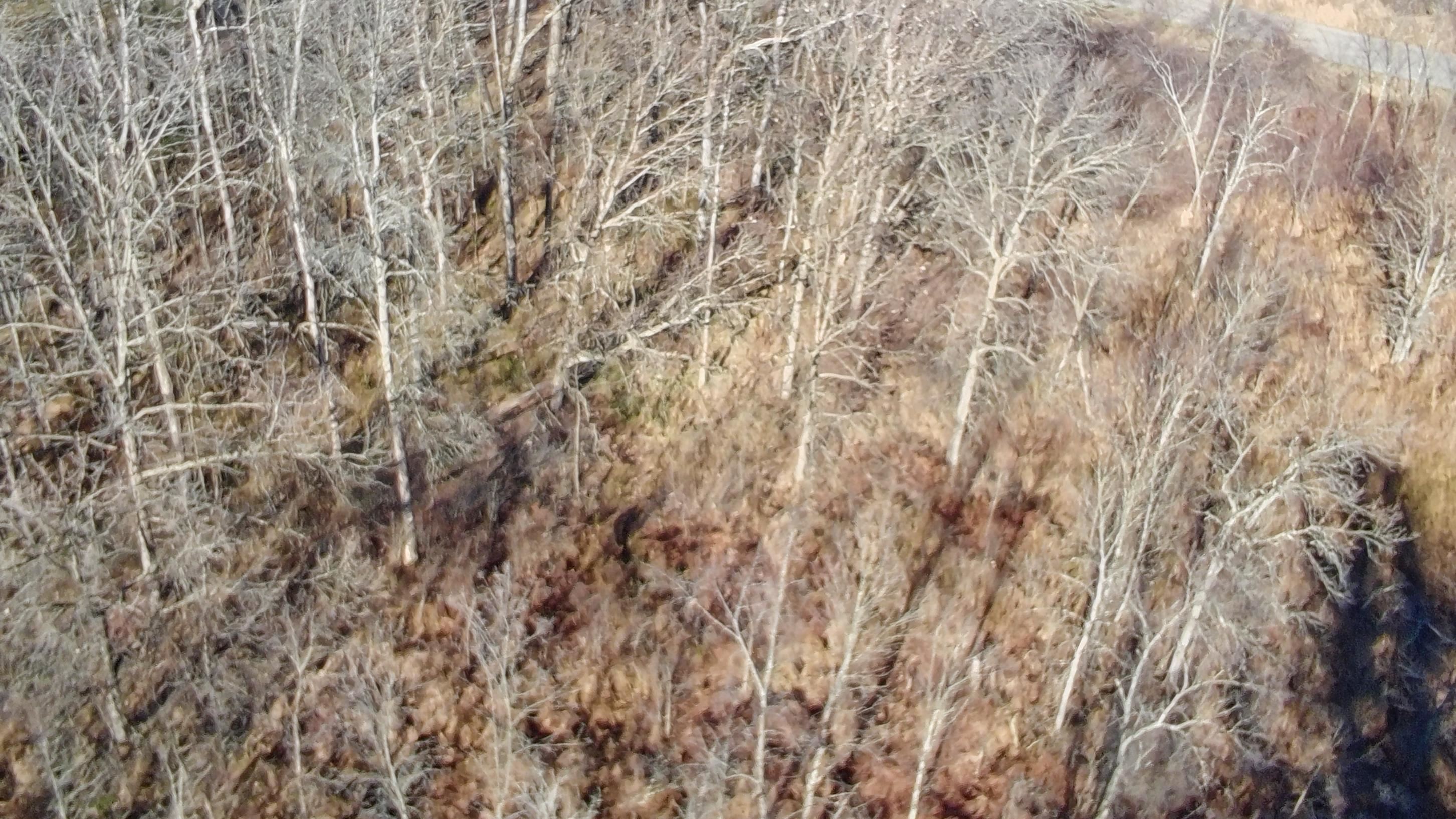 W3925 Chicago Road Redgranite, WI 54970 - Photo 30 of 53