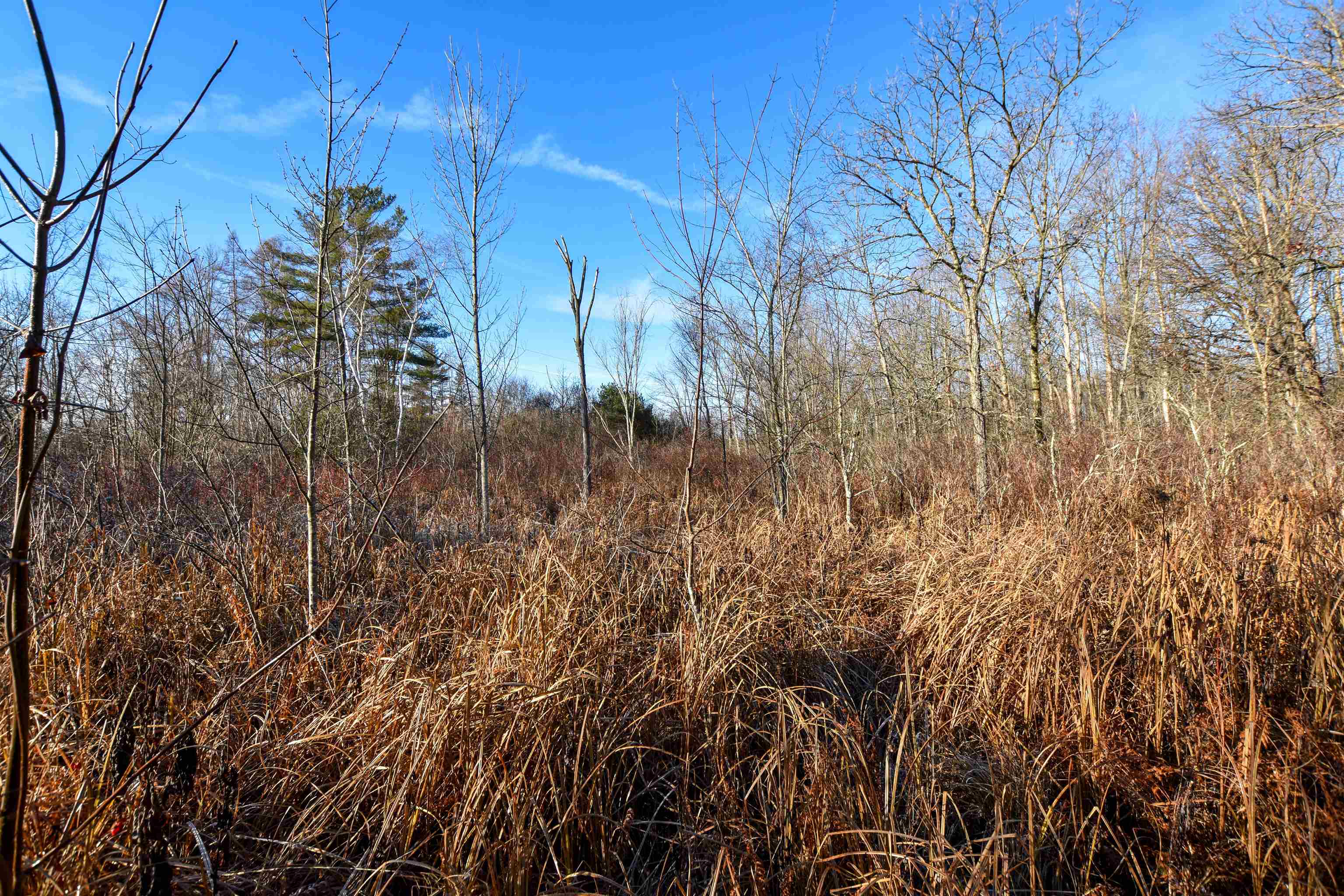 W3925 Chicago Road Redgranite, WI 54970 - Photo 39 of 53