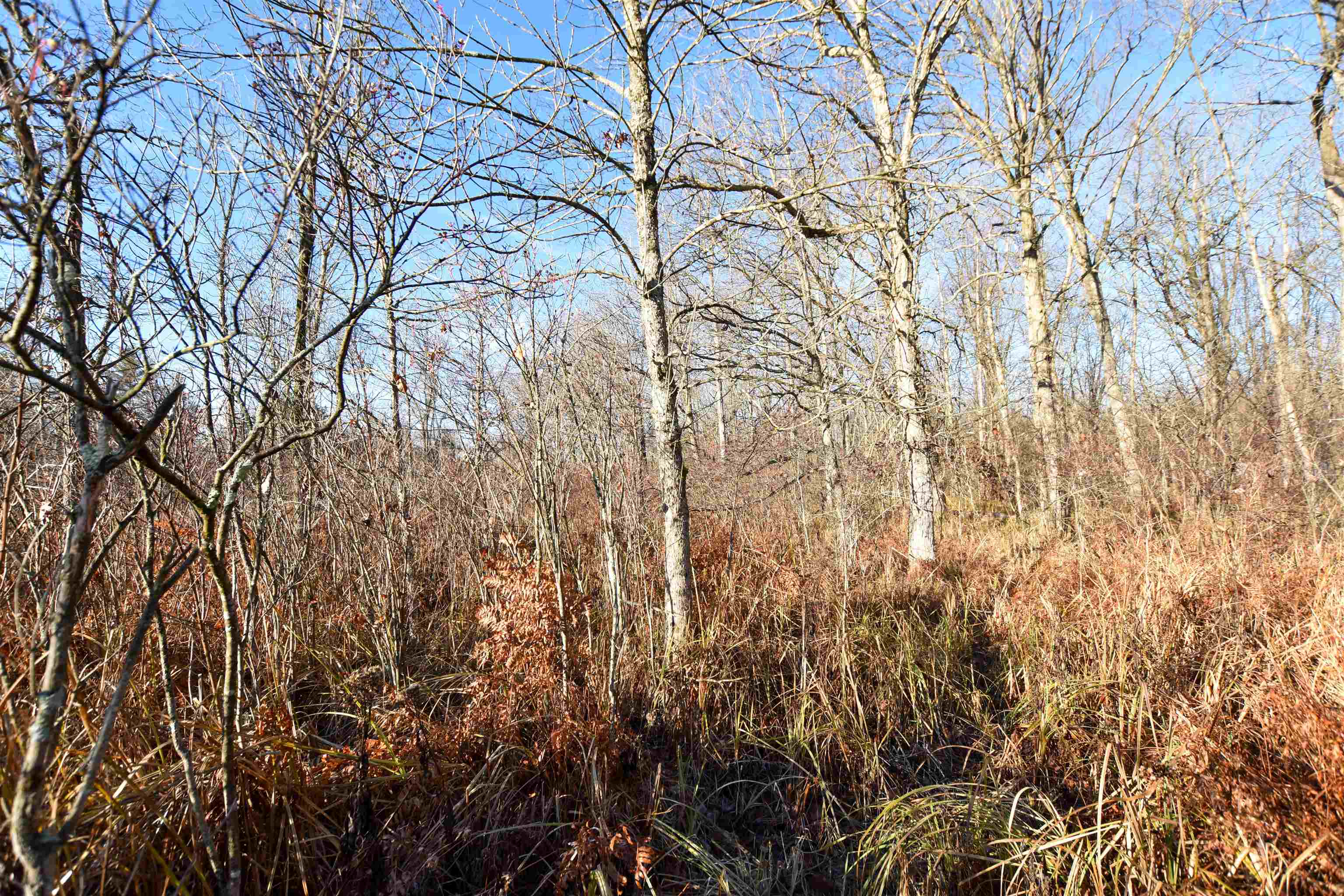 W3925 Chicago Road Redgranite, WI 54970 - Photo 43 of 53