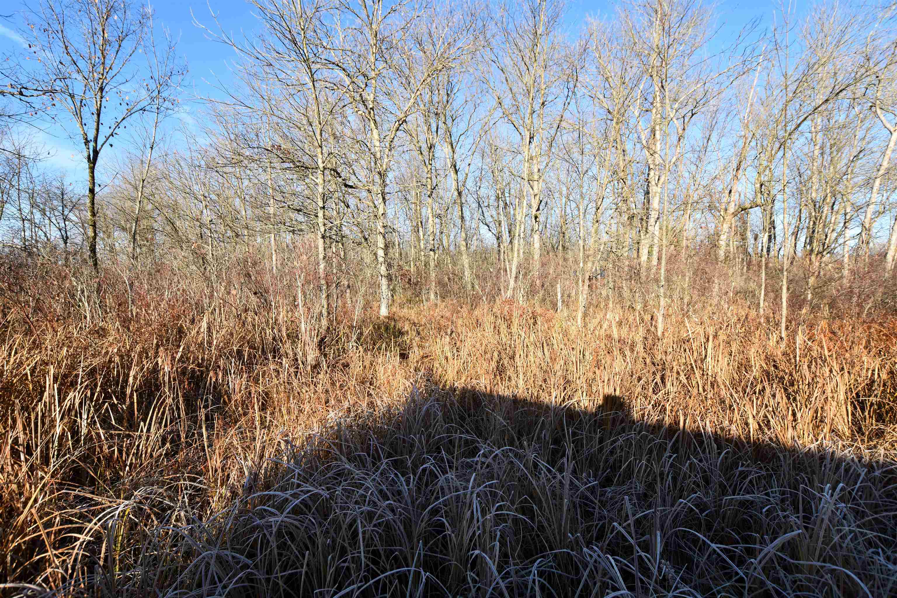 W3925 Chicago Road Redgranite, WI 54970 - Photo 44 of 53