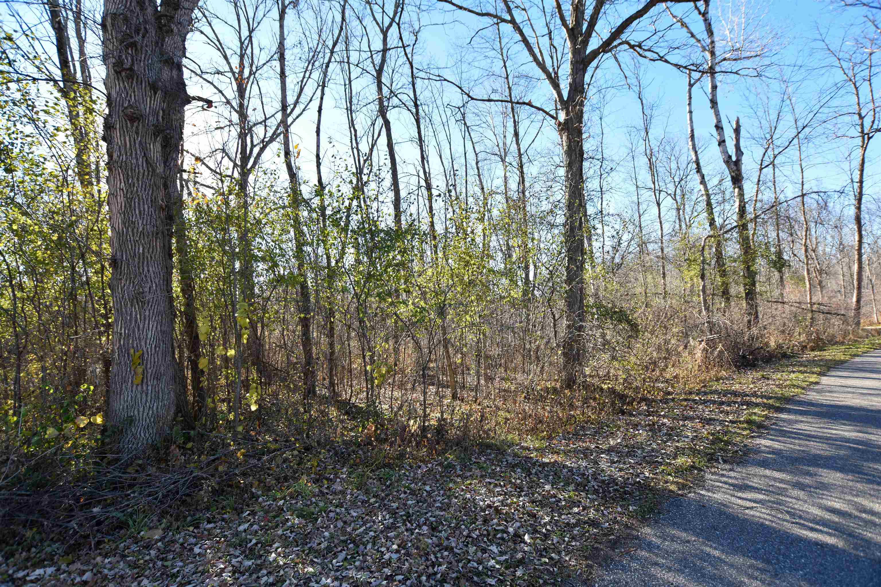 W3925 Chicago Road Redgranite, WI 54970 - Photo 5 of 53