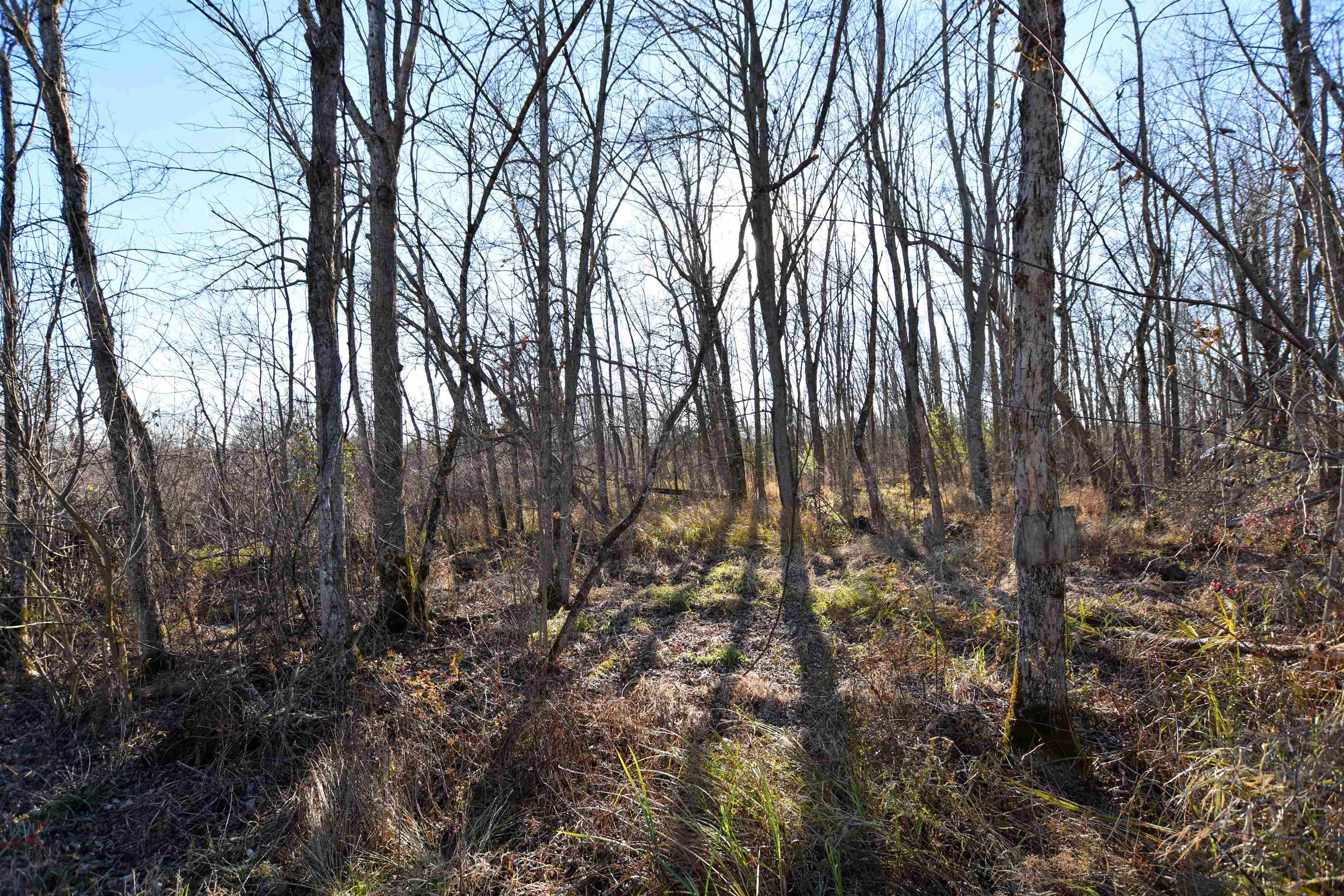 W3925 Chicago Road Redgranite, WI 54970 - Photo 7 of 53