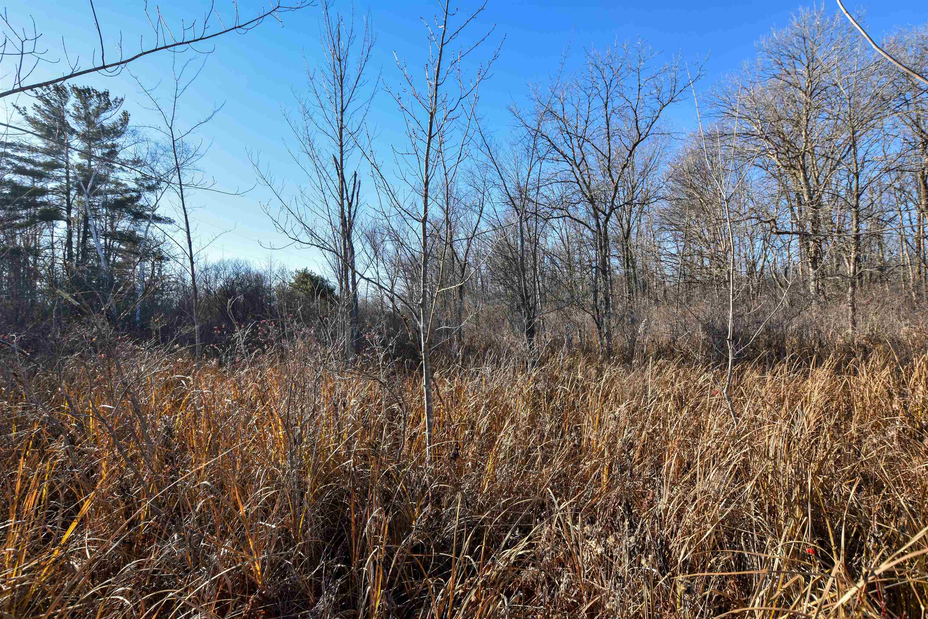 W3925 Chicago Road Redgranite, WI 54970 - Photo 9 of 53