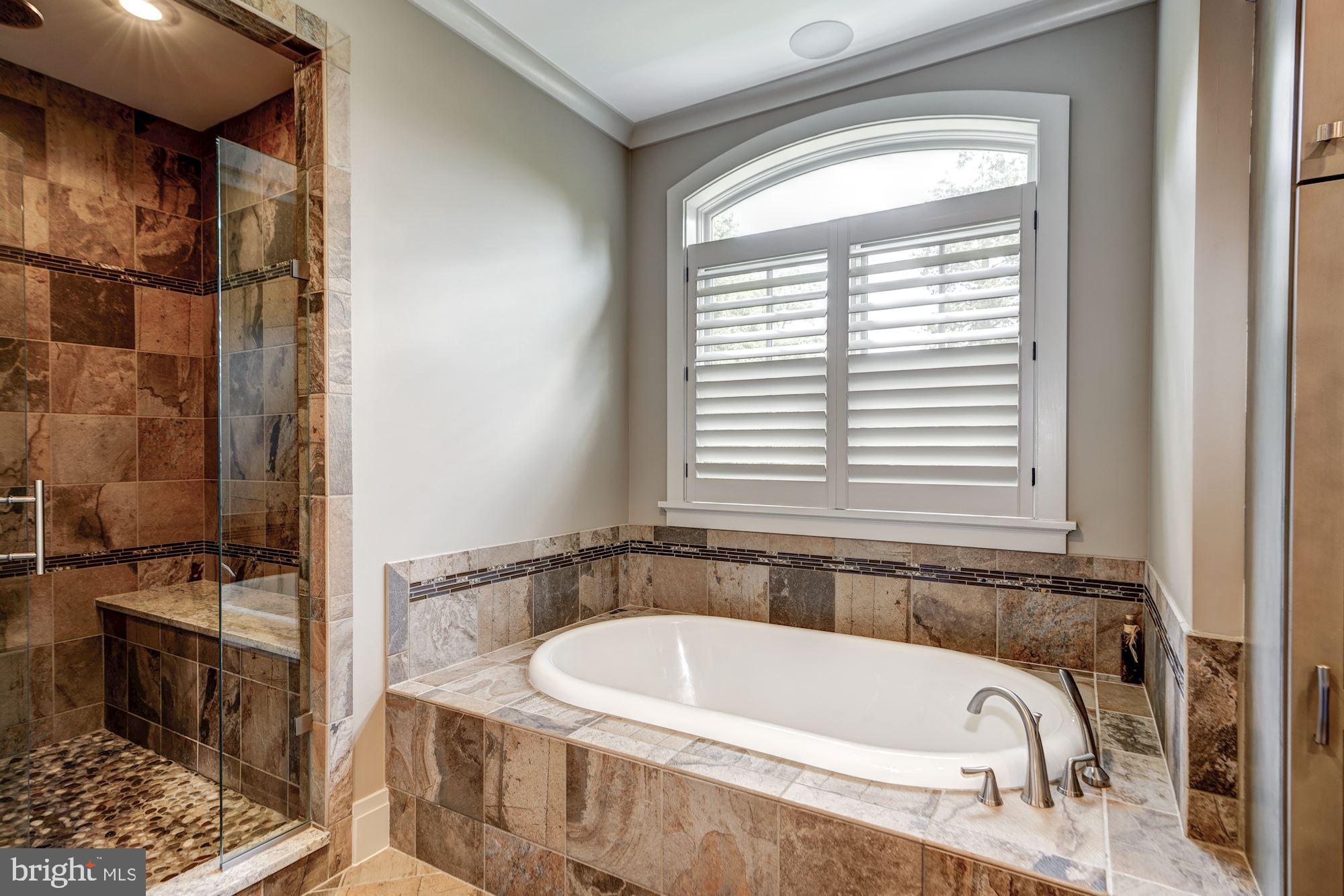 9927 Carter Road Bethesda, MD 20817 - Photo 24 of 47 Therapy Tub, Stone Surround