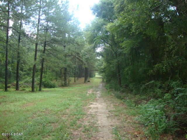 0 Fowler Road Graceville, FL 32440 - Photo 12 of 13