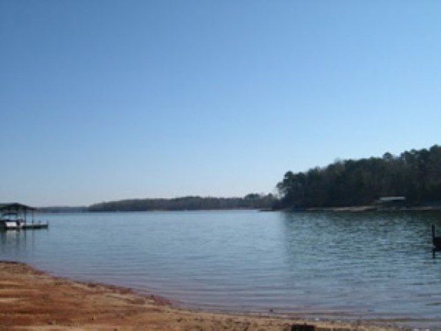 0 Collins Road Lavonia, GA 30553 - Photo 1 of 2 Gallery Image 1